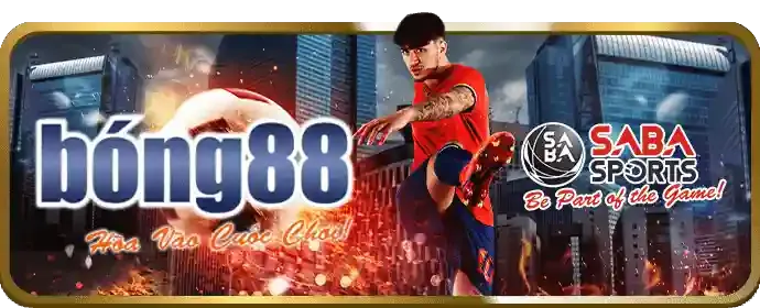 Chương Trình VIP và Thưởng Sinh Nhật bj888